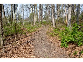 Property photo 115 - REAL ESTATE & PERSONAL PROPERTY AUCTION - 23.5+/- ACRES OFFERED IN 3 TRACTS OR COMBINATIONS IN EAST ALLEN COUNTY